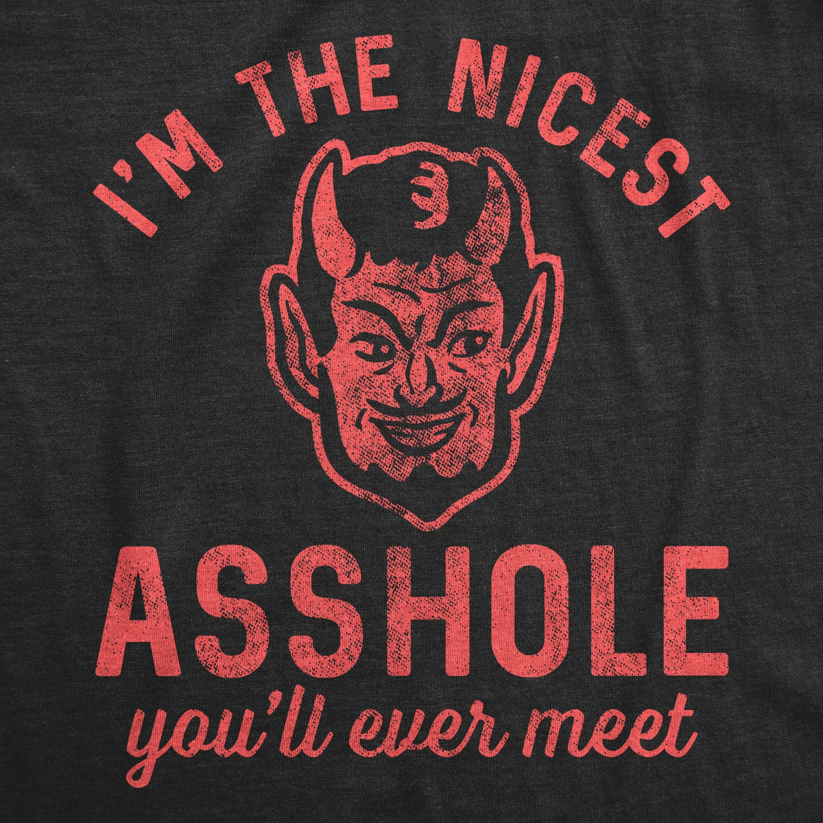 I'm The Nicest Asshole You'll Ever Meet Men's T Shirt product image 2