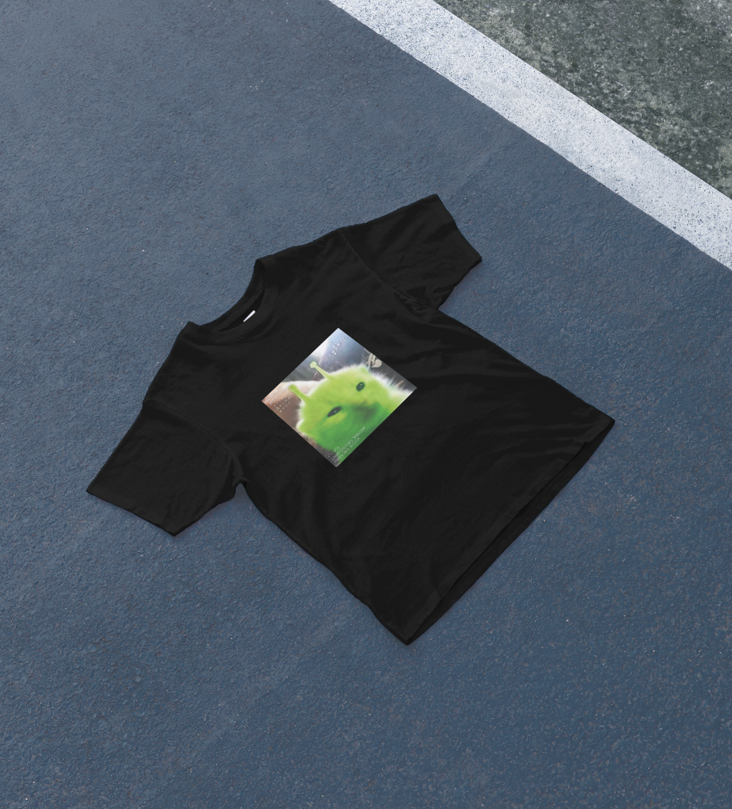 DIYANYONE 3i/atlas Original Green Alien Cat Meme 10.31 LDT product image 6