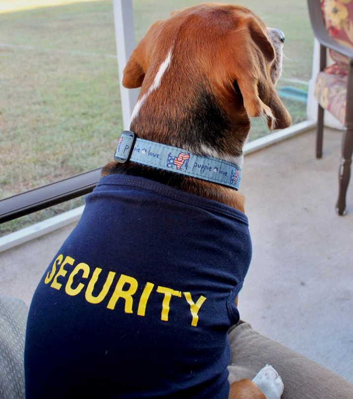 Security Dog Shirt product image 3