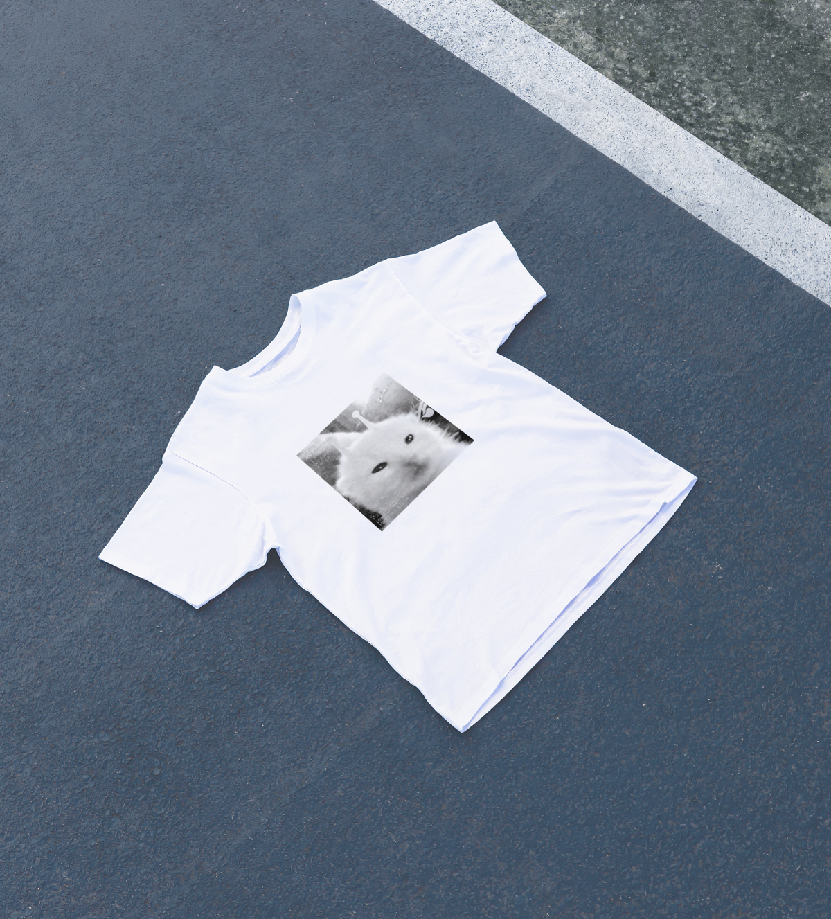 DIYANYONE 3i/atlas Original T-Shirt: Alien Cat Meme 10.31 product image 3