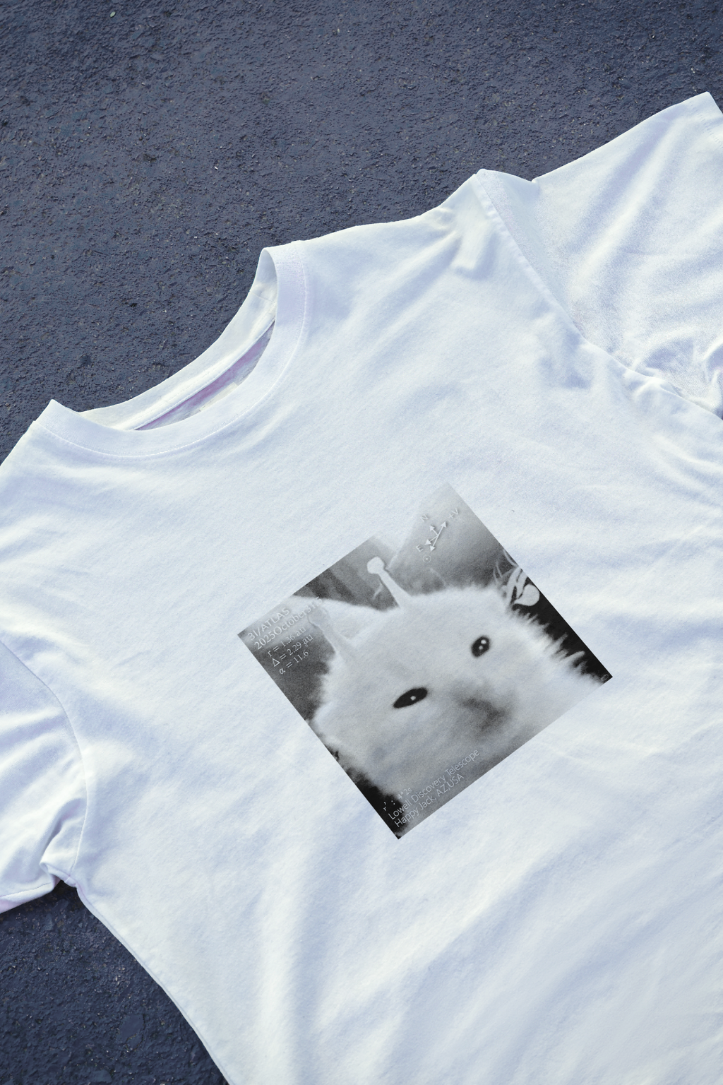 DIYANYONE 3i/atlas Original T-Shirt: Alien Cat Meme 10.31 product image 2