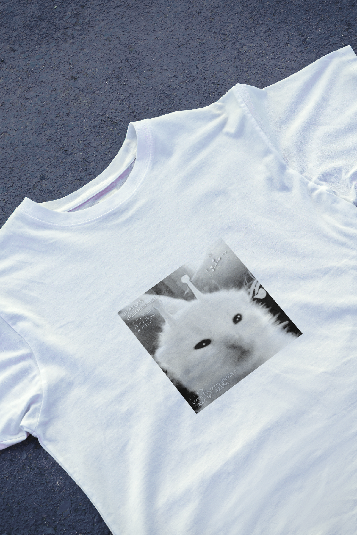 DIYANYONE 3i/atlas Original T-Shirt: Alien Cat Meme 10.31 product image 2
