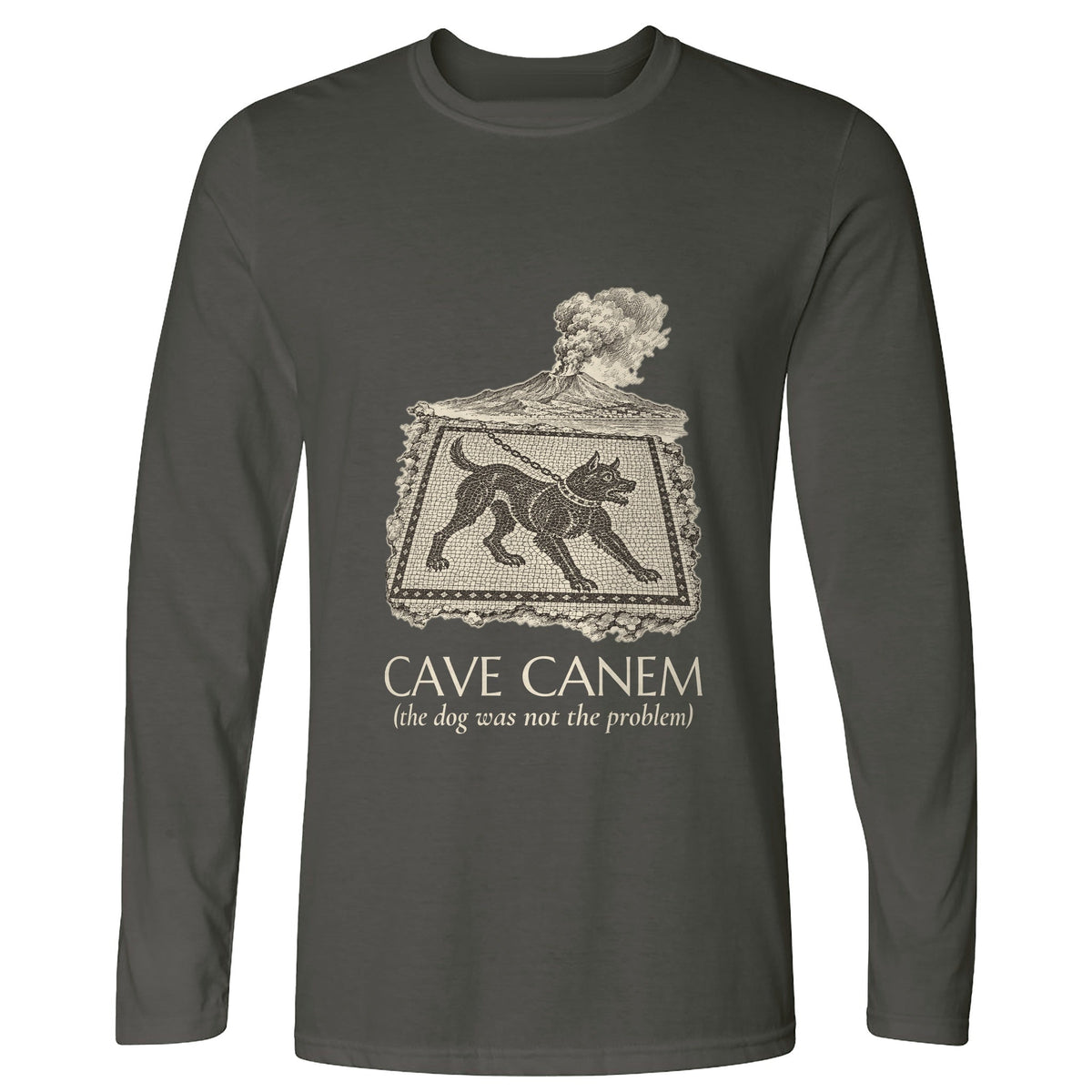 Cave Canem The Dog Was Not Problem Long Sleeve T-Shirt product image 3
