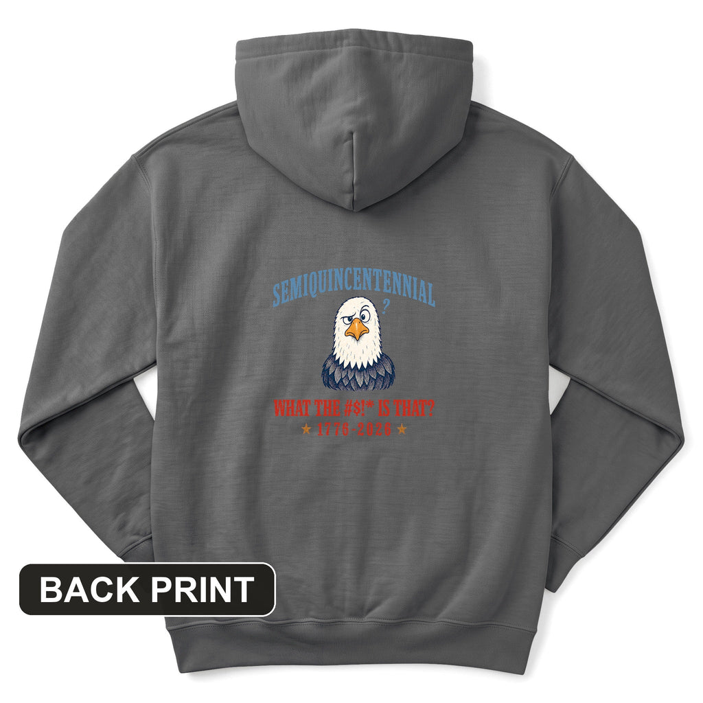 Semiquincentennial Eagle Back Print Hoodie product image 2