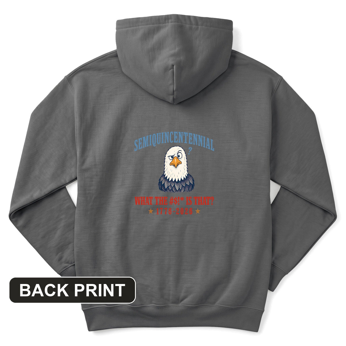 Semiquincentennial Eagle Back Print Hoodie product image 2