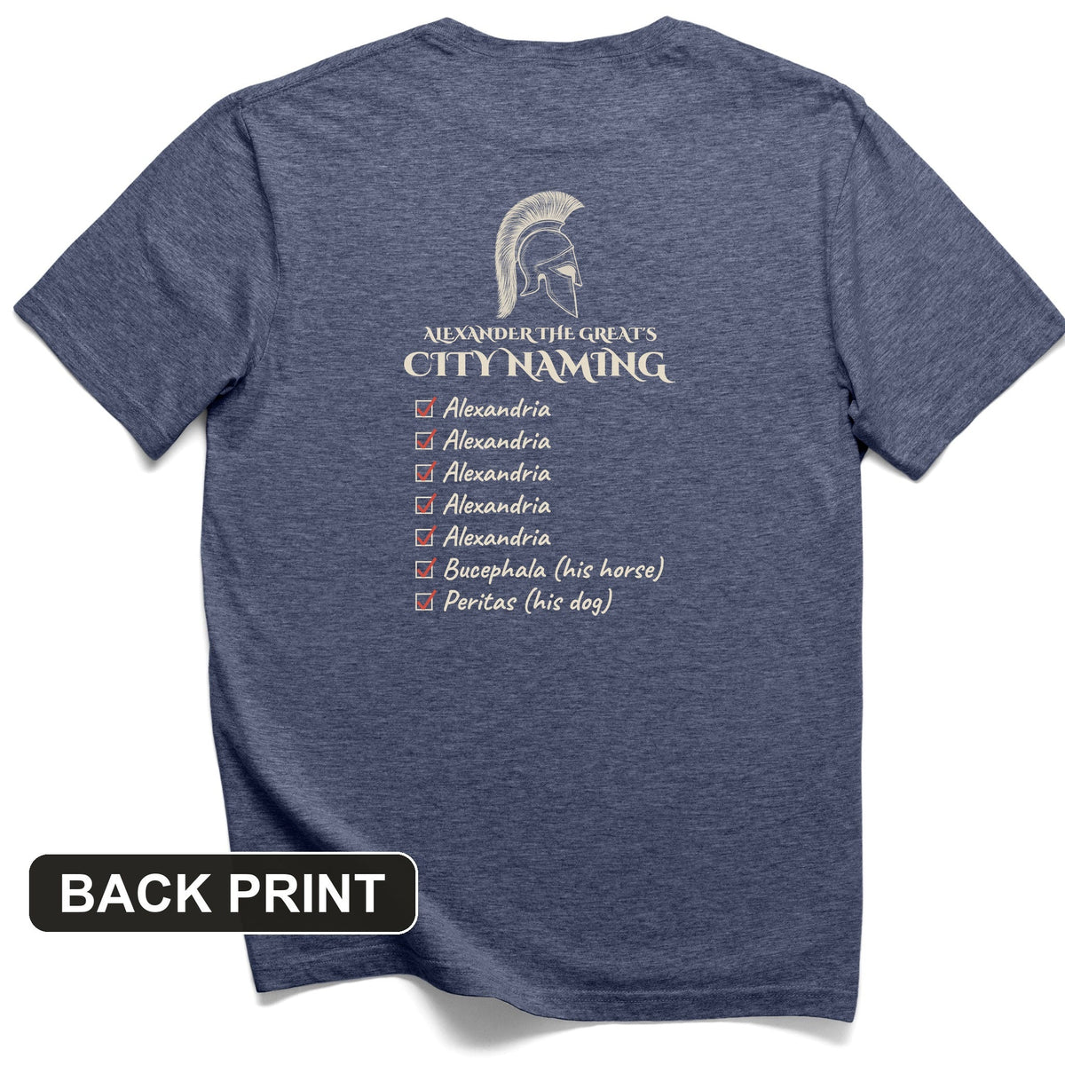 Alexander City Naming Back Print T-Shirt product image 3