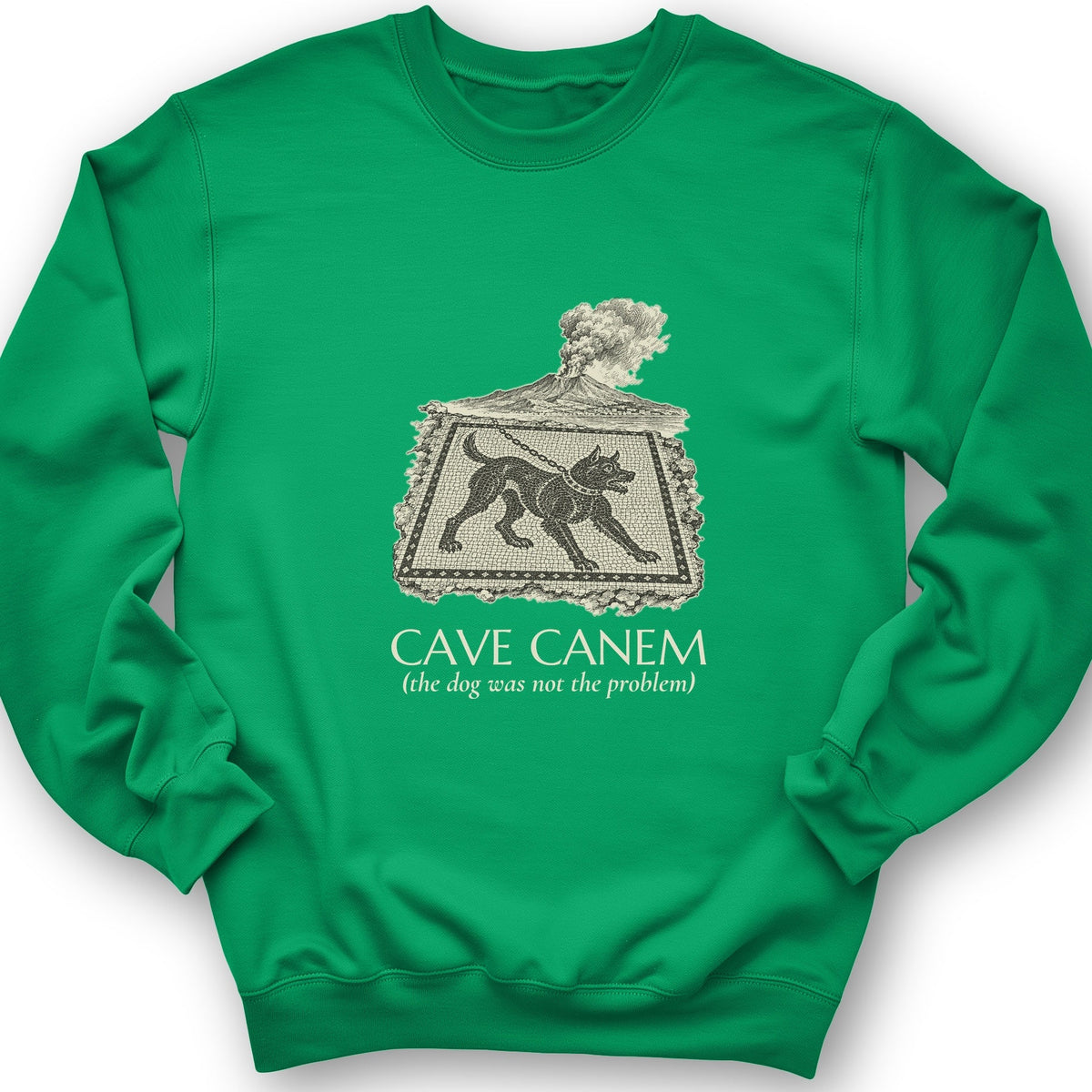 Cave Canem The Dog Was Not Problem Crewneck product image 2