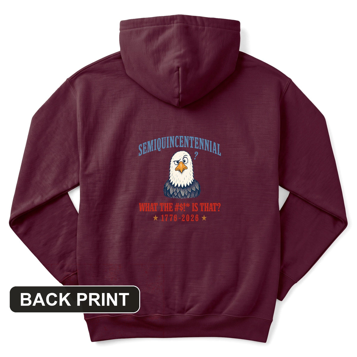 Semiquincentennial Eagle Back Print Hoodie product image 5