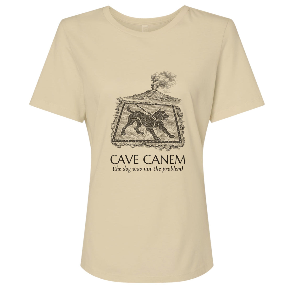 Cave Canem The Dog Was Not Problem Women's T-Shirt product image 10