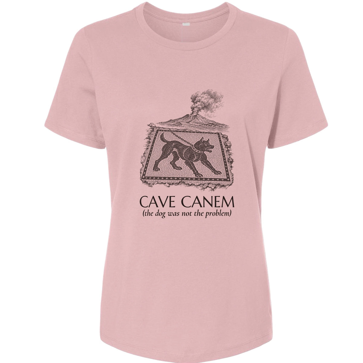 Cave Canem The Dog Was Not Problem Women's T-Shirt product image 9