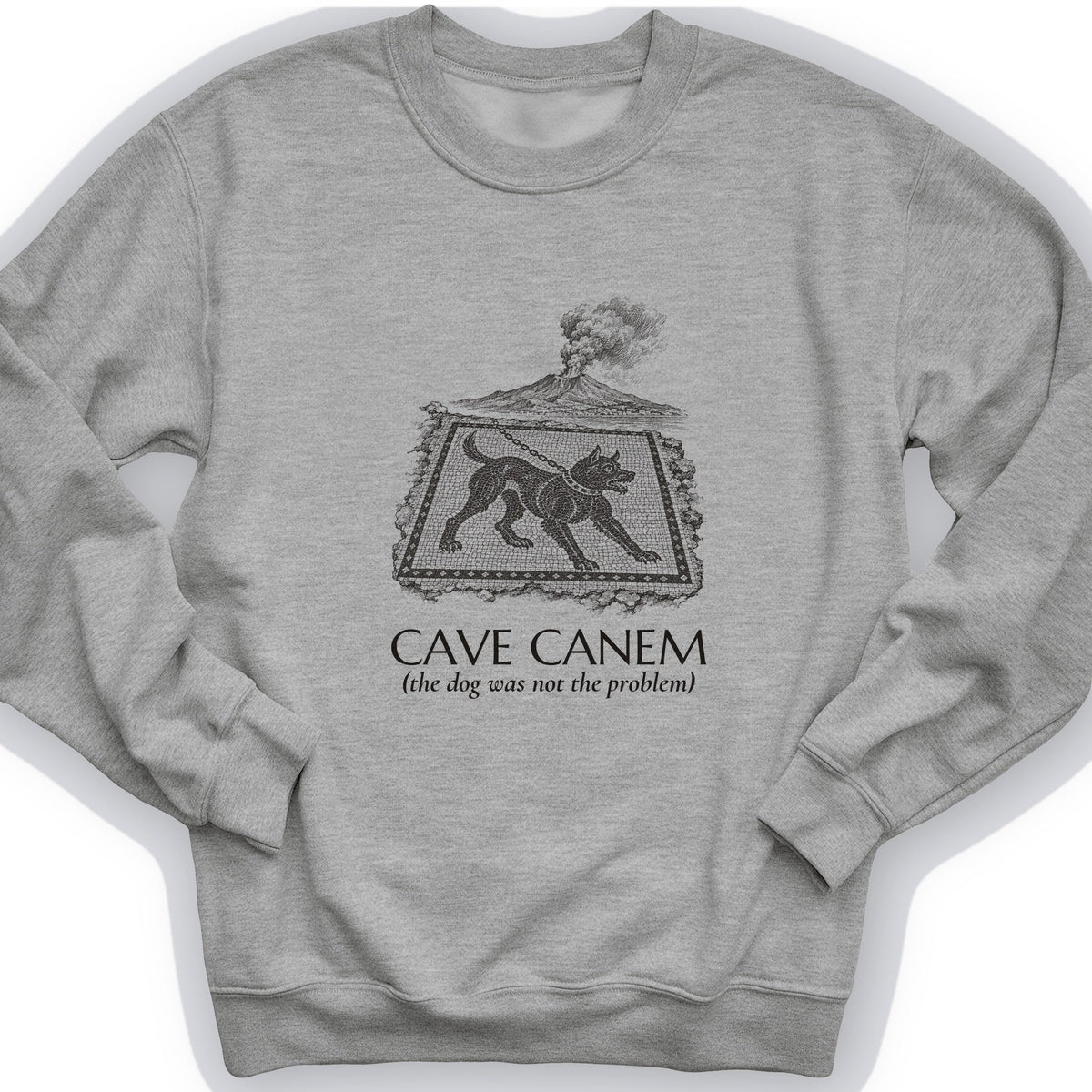 Cave Canem The Dog Was Not Problem Crewneck product image 1