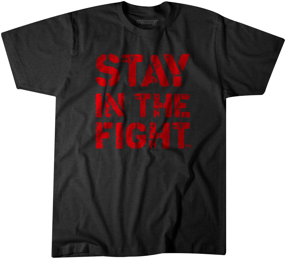 Stay In The Fight product image 1