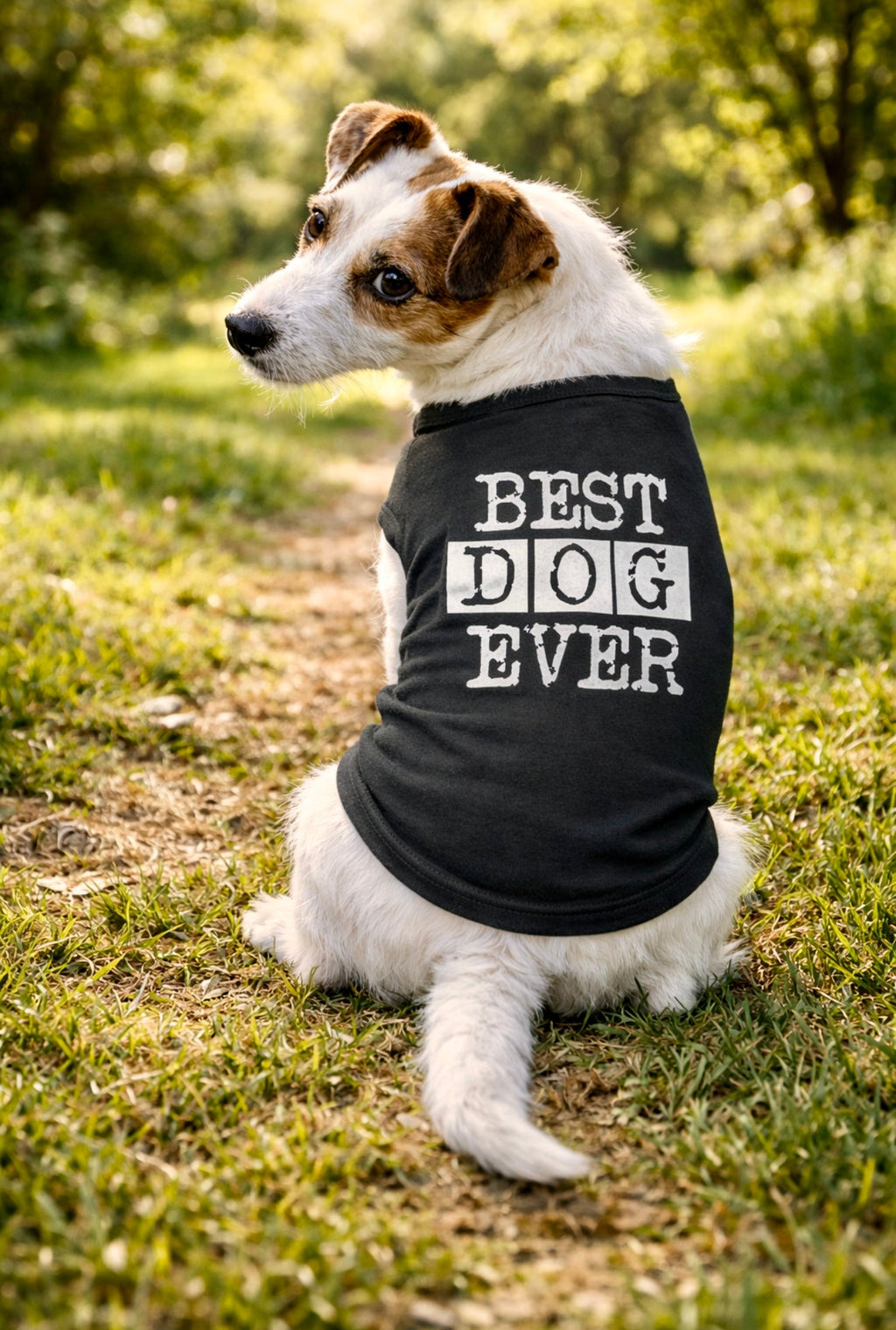 Best Dog Ever Shirt product image 5