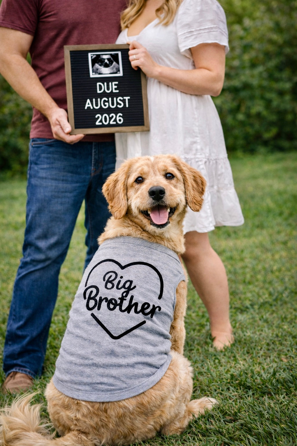 Big Brother Dog Shirt product image 2