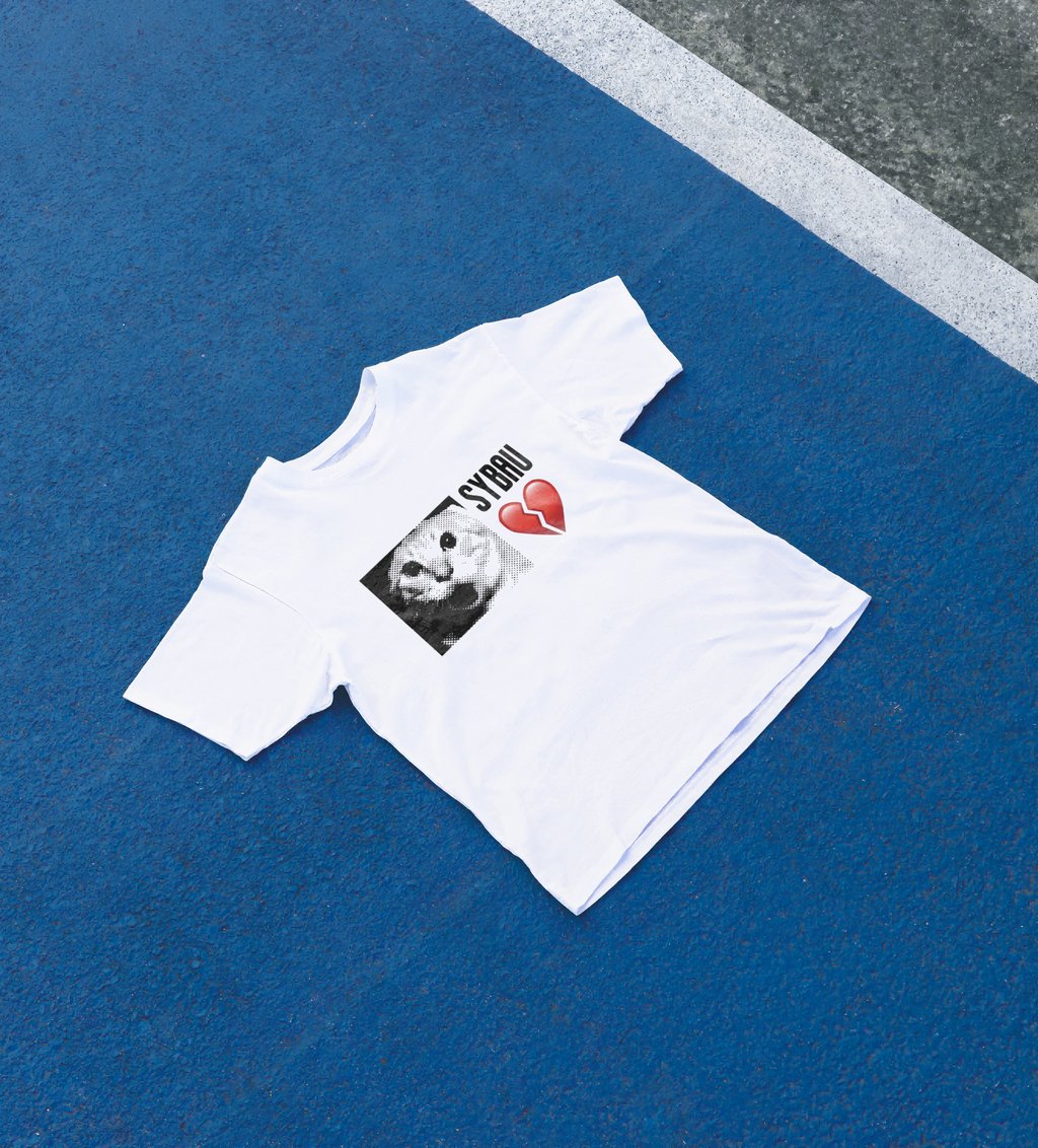 DIYANYONE Cats Meme T-Shirt: SYBAU Broken Heart product image 3