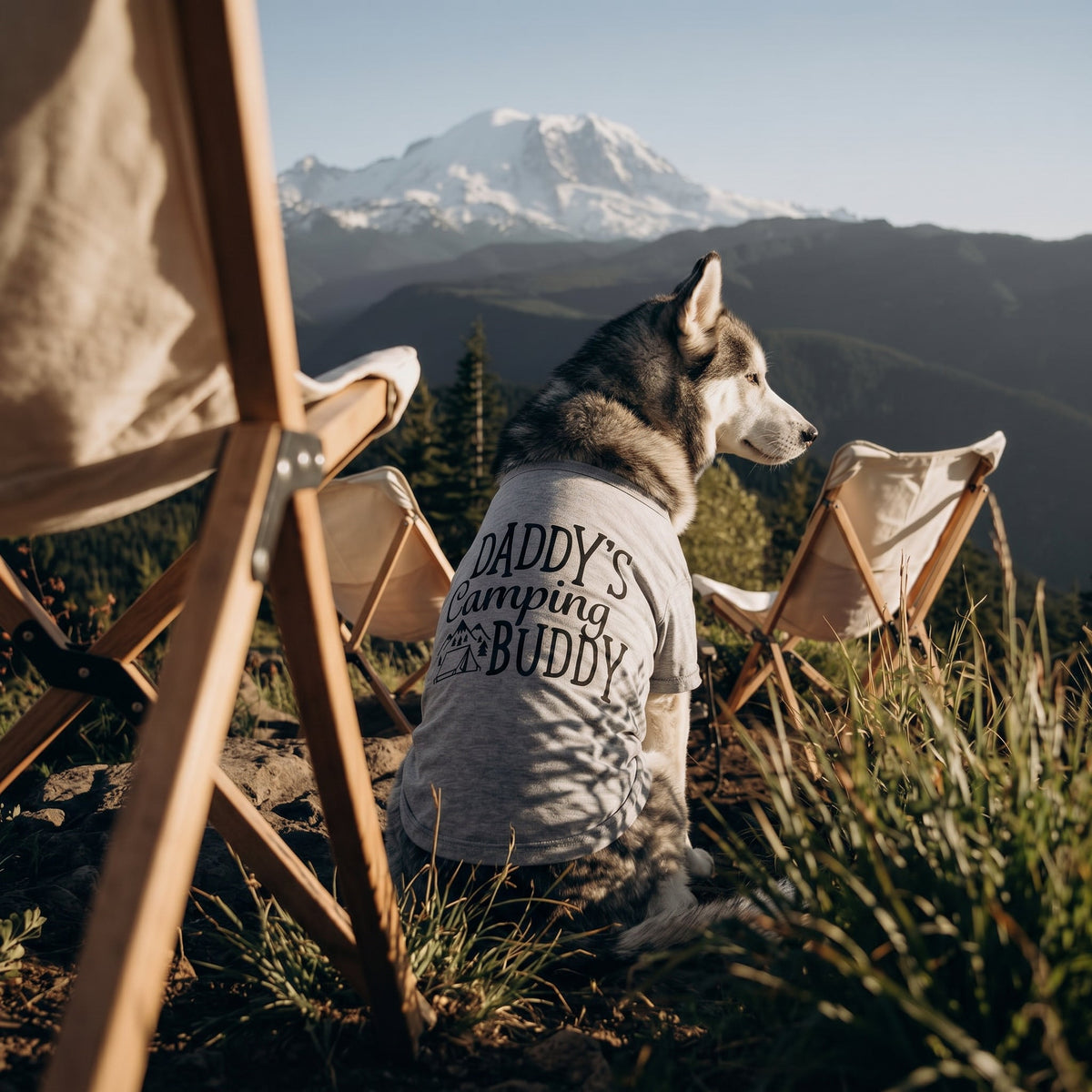 Daddy's Camping Buddy Dog Shirt product image 2