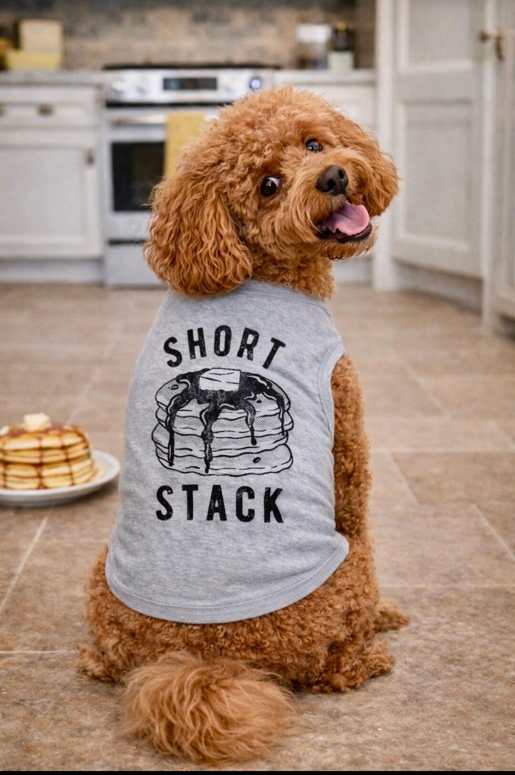 Short Stack Dog Shirt product image 2