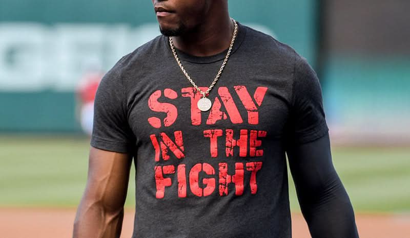 Stay In The Fight product image 5