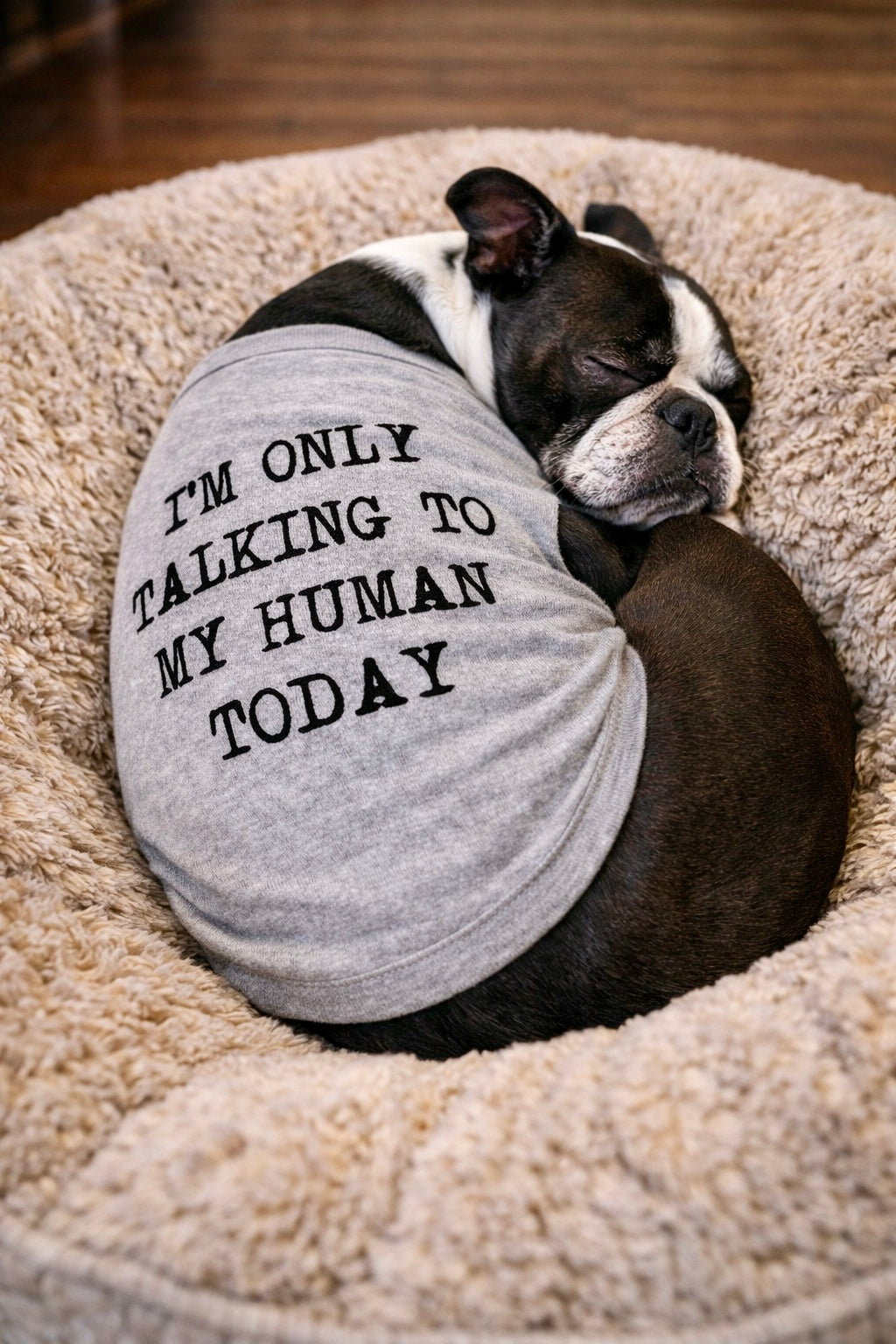 I'm Only Talking To My Human Today Dog Shirt product image 2