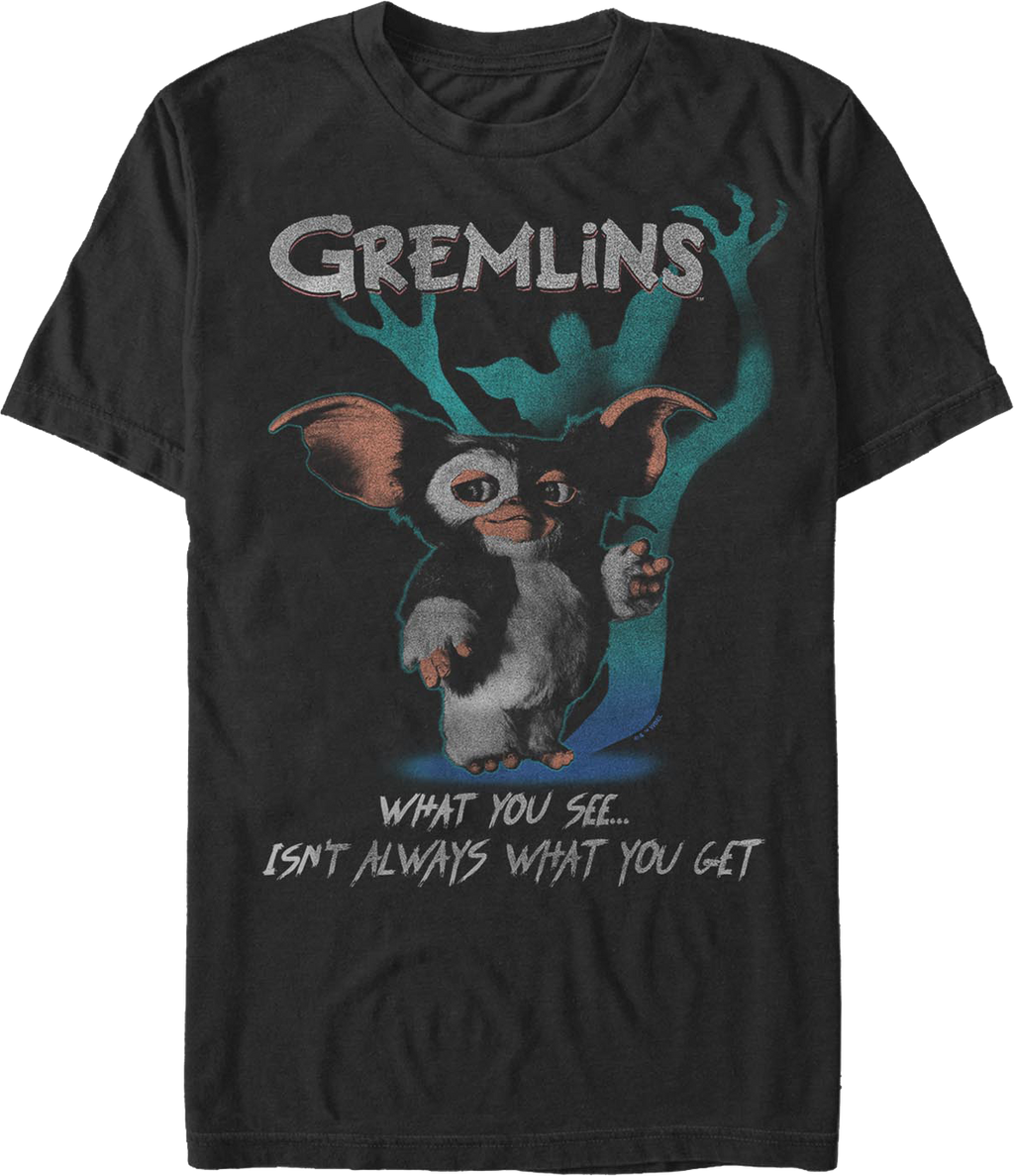 What You See...Isn't Always Get Gremlins T-Shirt product image 1